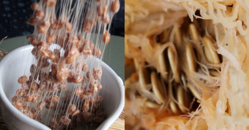 Помнить всё: 3 основных продукта для улучшения памяти. Употреблять всем обязательно после 45 лет!
