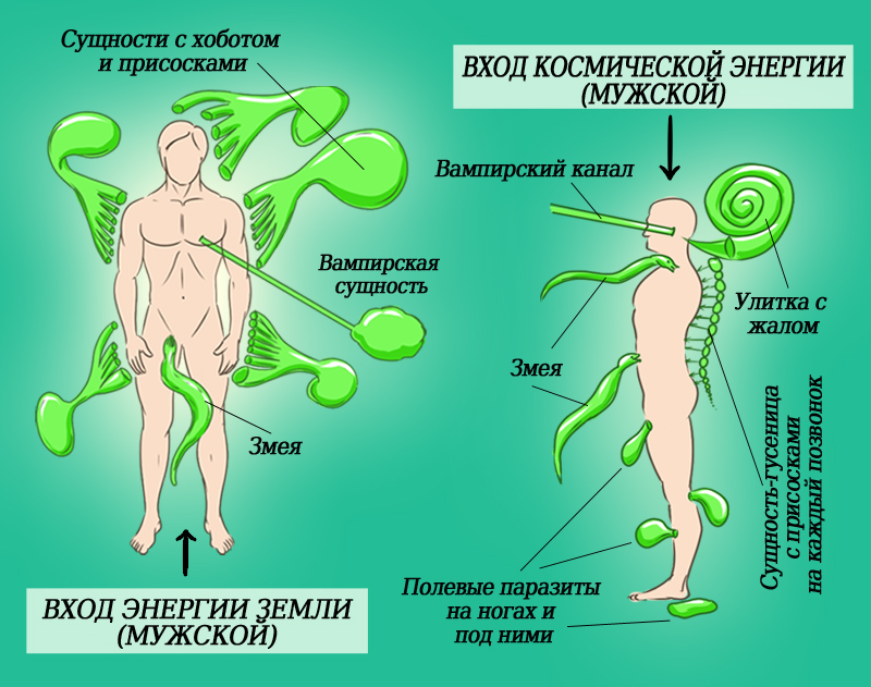 Энергетические паразиты вокруг нас. Единственным способом защиты праны является…
