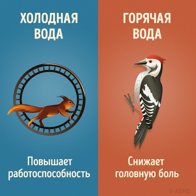 9 отличий холодного душа от горячего