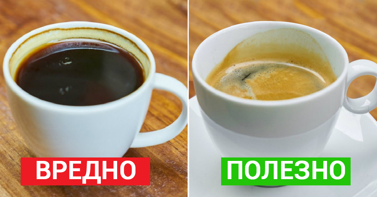 7 важных фактов, о которых должен знать каждый кофеман… Делай выводы лично!