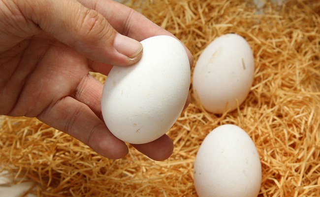 Список продуктов для похудения