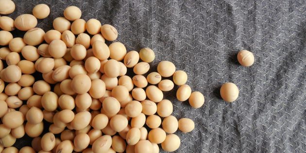 10 продуктов, в которых кальция больше, чем в твороге. Найдутся в любом супермаркете и не ударят по карману.