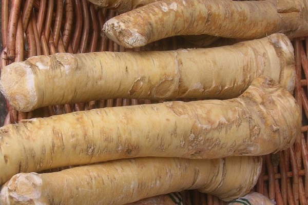 Продукты для улучшения памяти