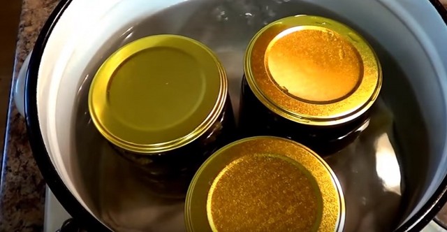 Баклажаны на зиму, лучшие рецепты приготовления вкусных баклажанов