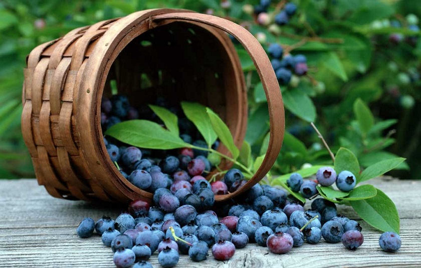 Продукты, разжижающие кровь