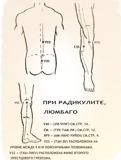 Эта «Звездочка» исцеляла всех! Но есть то, чего не знали даже наши родители…