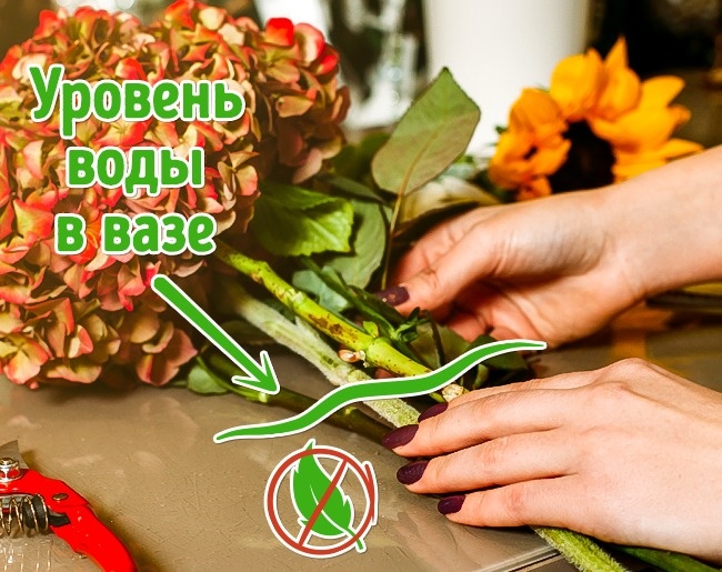10 способов сохранить цветы в вазе свежими надолго