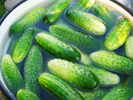 Секреты удачных домашних заготовок. Хрустящие огурчики и вкусные помидорчики