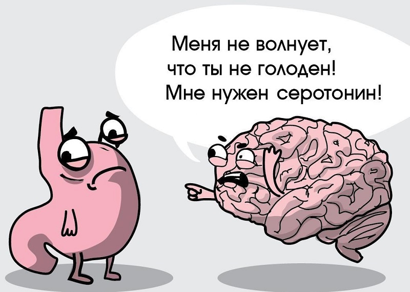 Зверобой — волшебная трава: гормонов счастья много не бывает. Не спеши в аптеку за антидепрессантами, наши бабушки лечили хандру зверобоем.