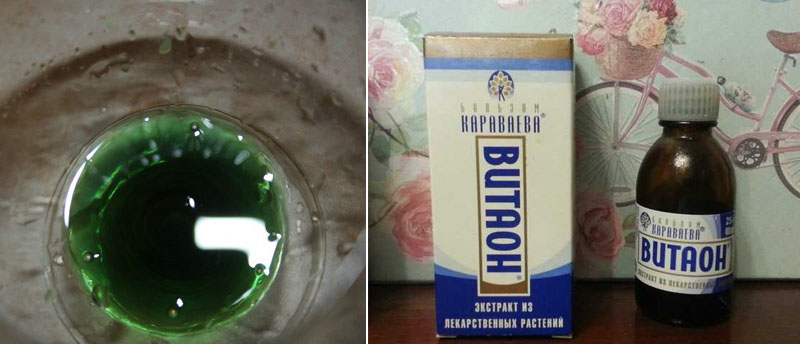 «Хлорофиллипт»: цена вопроса — копейки! 15 проверенных временем рецептов.