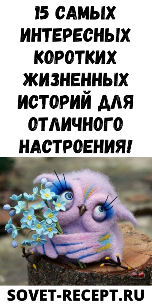 15 самых интересных коротких жизненных историй для отличного настроения!