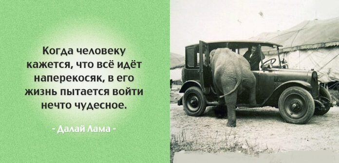 Фразы заставляющие задуматься о важном.Стоит прочесть каждому!