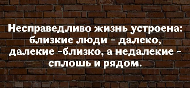17 юмористических высказываний о жизни женщины