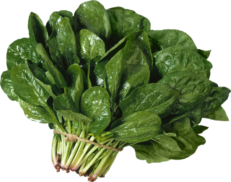 8 лучших продуктов для красоты