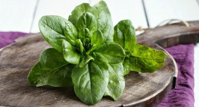 10 суперпродуктов, которые стоит употреблять каждый день 10 суперпродуктов, которые стоит употреблять каждый день