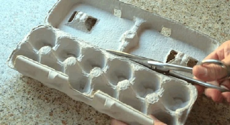 Куда деть коробки от яиц? Только не вздумайте их выбрасывать