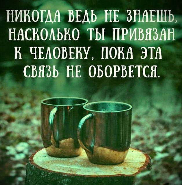 Сильно сказано: 20 высказываний в картинках