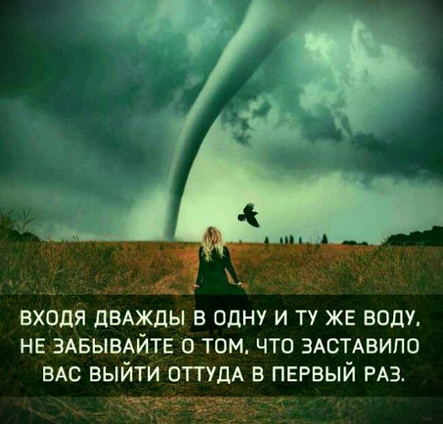 Сильно сказано: 20 высказываний в картинках